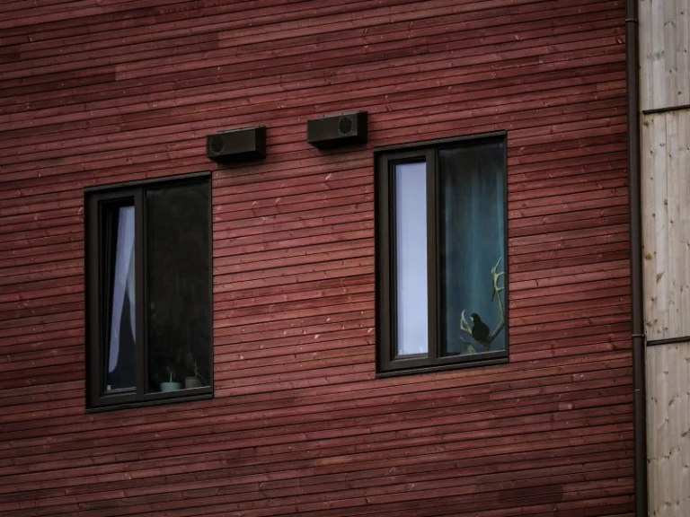 Fenêtres à cadre aluminium noir sur une façade contemporaine